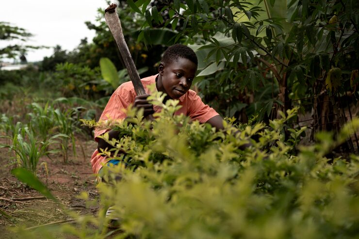 Young farmer working outdoors